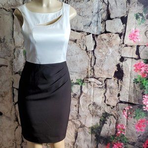 Adrianna Papell Cream and black dress